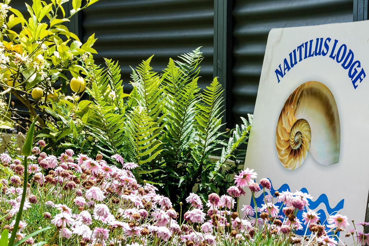 Nautilus Lodge Motel Motueka Exteriér fotografie